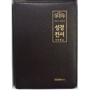 개역한글홀리바이블성경전서 소단본 색인 양피 지퍼 62HB 다크브라운