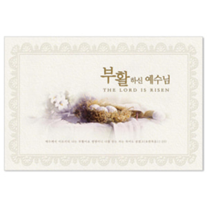 부활절카드 부활카드 부활하신 예수님-9133